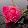 ~x~الروووح الشمري ~x~'s profile picture