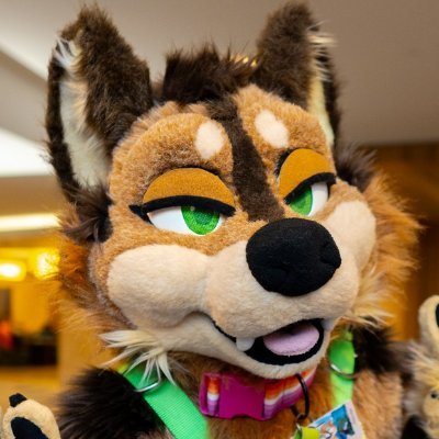 SkylarShibe's profile picture