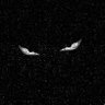 $ H U N A's profile picture