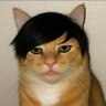 Profilbild von Marck