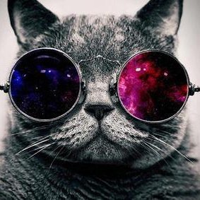 alvicatee's profile picture