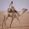 أ. جابر's profile picture