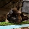 スエさん profil fotoğrafı