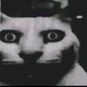 your mom's profile picture