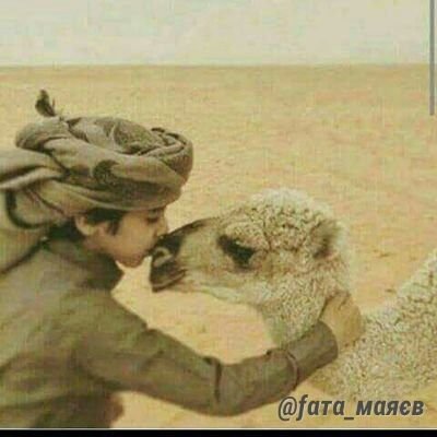 MrAhmedd0's profile picture