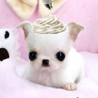 PIP_SILLYART's profile picture