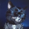Sane's profile picture