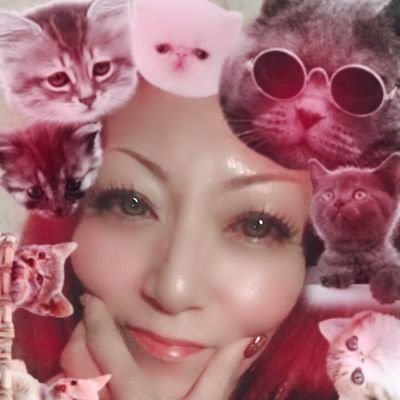saki's profile picture