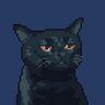 Profilbild von Dumb Programmer