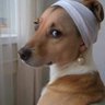 Profilbild von MikebigTuna