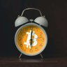 CryptoWalker profil fotoğrafı