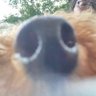 カステラ profil fotoğrafı