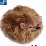 WarrensBuffet's profile picture