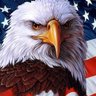 CryptoAlphaDaily profil fotoğrafı
