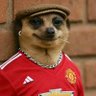 Фото профиля Diego_utd