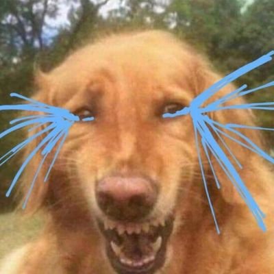 ๊ฐ๋ฏธ's profile picture