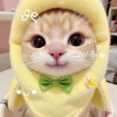 🐱's profile picture