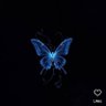 Butterfly🦋's profile picture