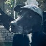 JustAnotherBadExample's profile picture