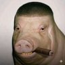Dru Aepx's profile picture