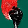 #BangladeshVoice's profile picture