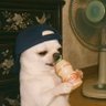 El Titi's profile picture