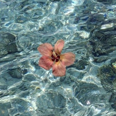 okt3_x's profile picture