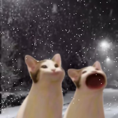 sa_hk_'s profile picture