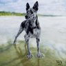 Profilbild von Douglas Jotblad