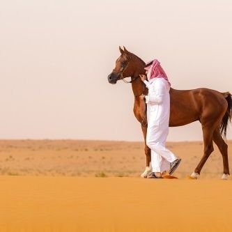 abdulaziz_11000's profile picture
