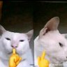 ohheeshh profil fotoğrafı