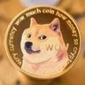 Фото профиля Dogee style