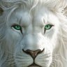 Фото профиля 🇵🇸 🇾🇪D.lion