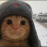 Jimmy Pc's profile picture