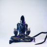 Фото профиля Some Dude Farther