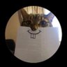 sue redding's profile picture