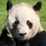 Profilbild von 義則・F
