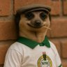 Profilbild von DMF 🦅🦅