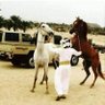 Фото профиля وطني اصيل من ارض 🇾🇪