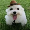 Profilbild von Ferr