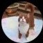 Darkchimedes Ⓜ️🕸️'s profile picture