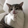 Profilbild von Godmarco