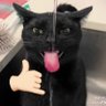 Heiliaoeee profil fotoğrafı