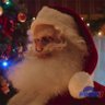 Santa Gerald Robotnik's profile picture