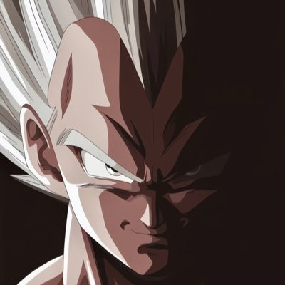 SaiyansPrinceX's profile picture
