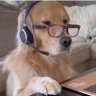 Profilbild von kirov reporting