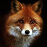 Фото профиля Mel Bourne