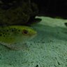 Фото профиля TOKX1