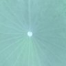 Entertainment 4 u's profile picture