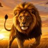 ahmet şahin's profile picture